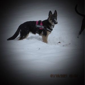 Meet your Posher, Mike